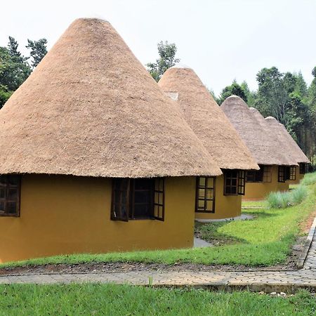 Kibale Guest Cottages Fort Portal Exteriér fotografie
