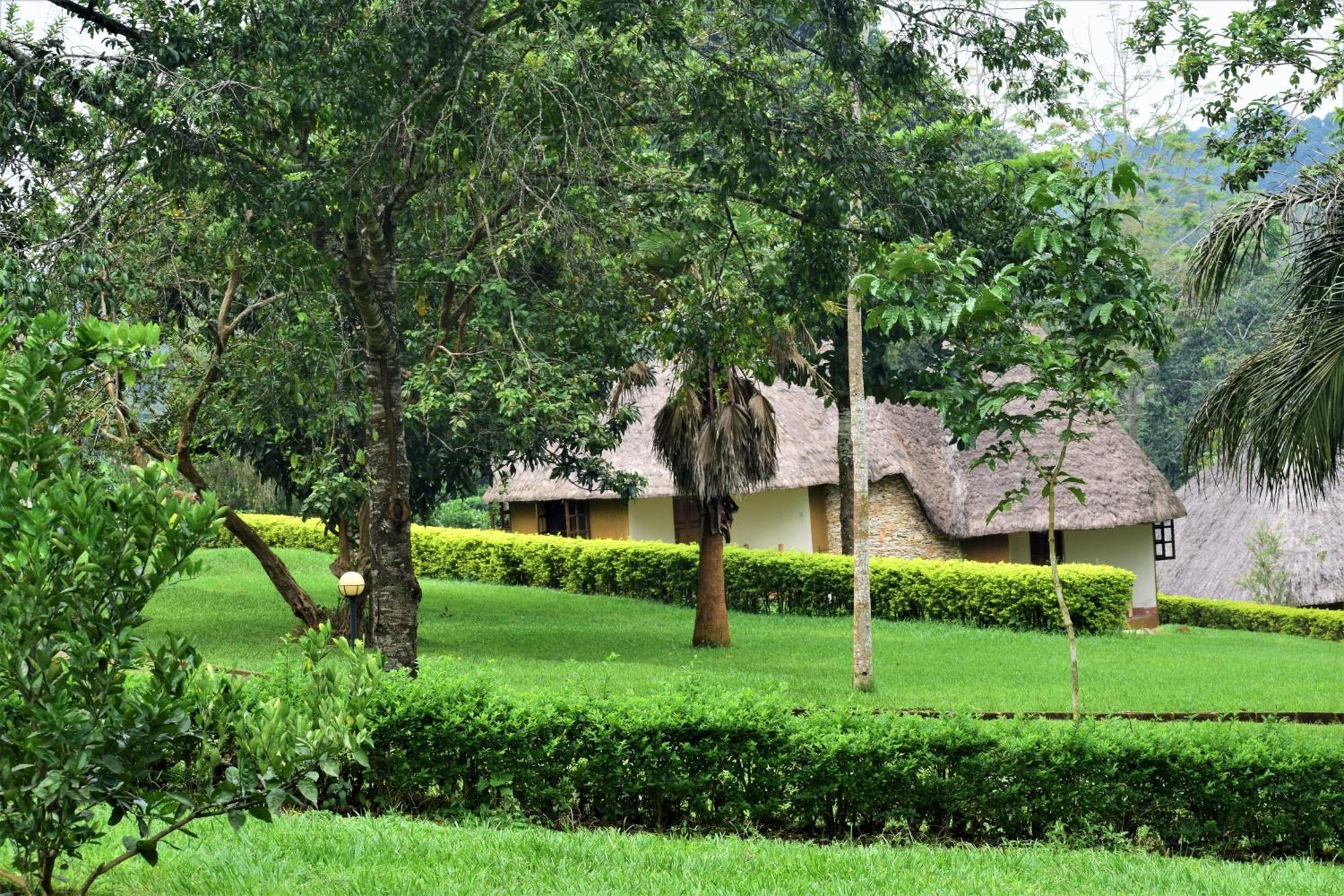 Kibale Guest Cottages Fort Portal Exteriér fotografie